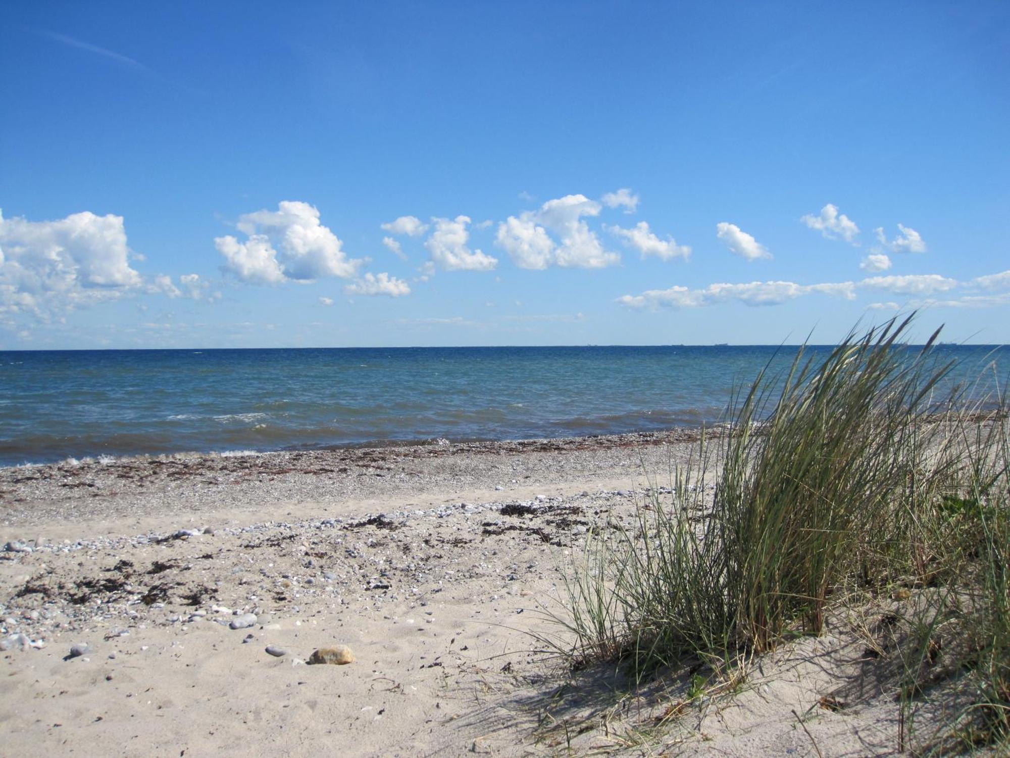 Fewo Im Kastania Nr19 Petersdorf auf Fehmarn 외부 사진